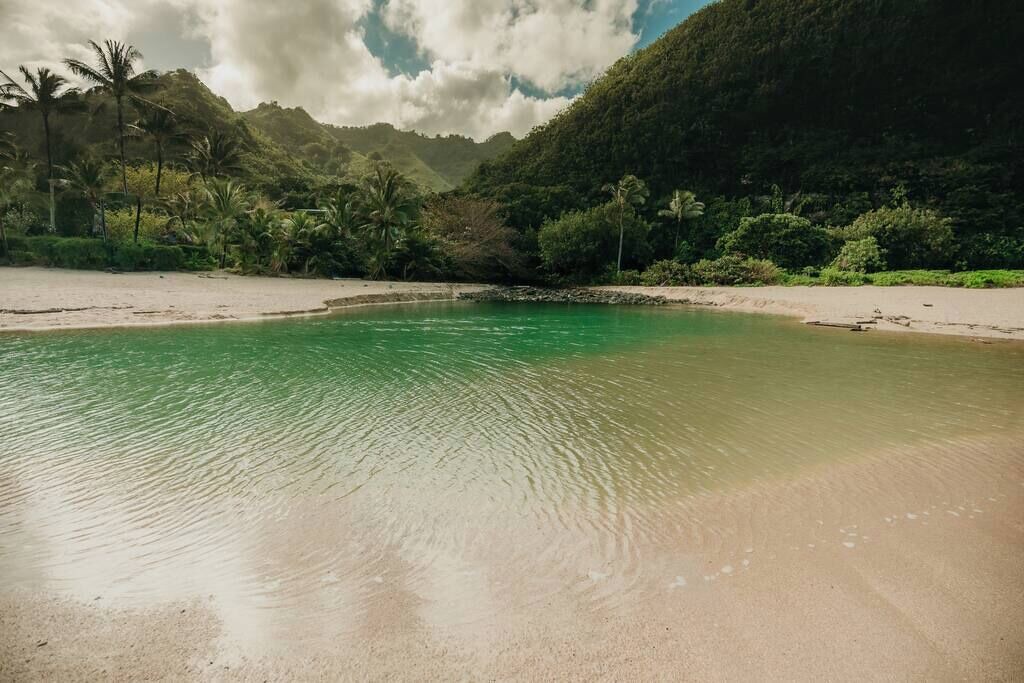 Photo of Others in Princeville