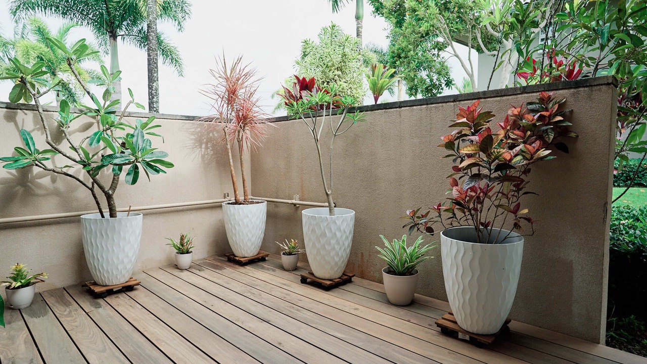 Photo of Bedroom in Kaiulani