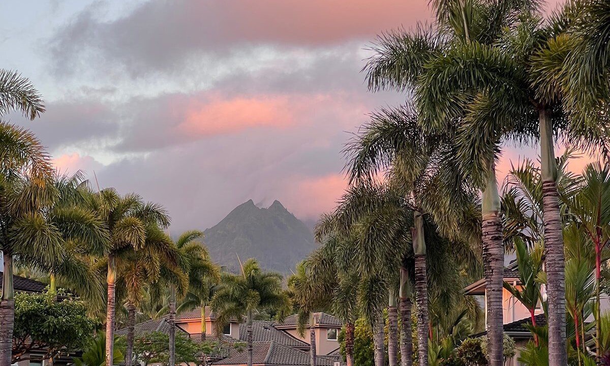 Photo of Outdoor in Kaiulani