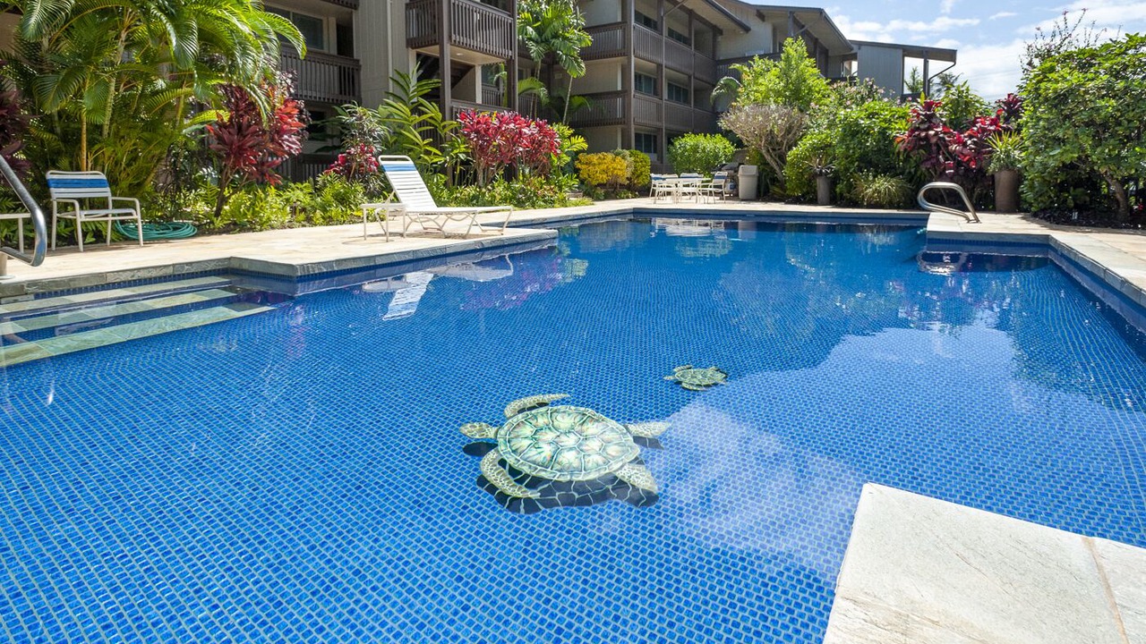 Photo of Outdoor in Wailua House Lots