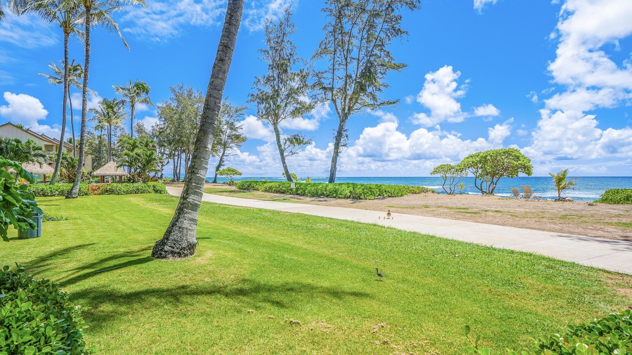 Photo of Outdoor in Wailua