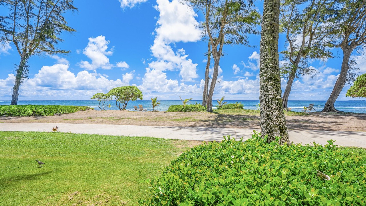 Photo of Outdoor in Wailua