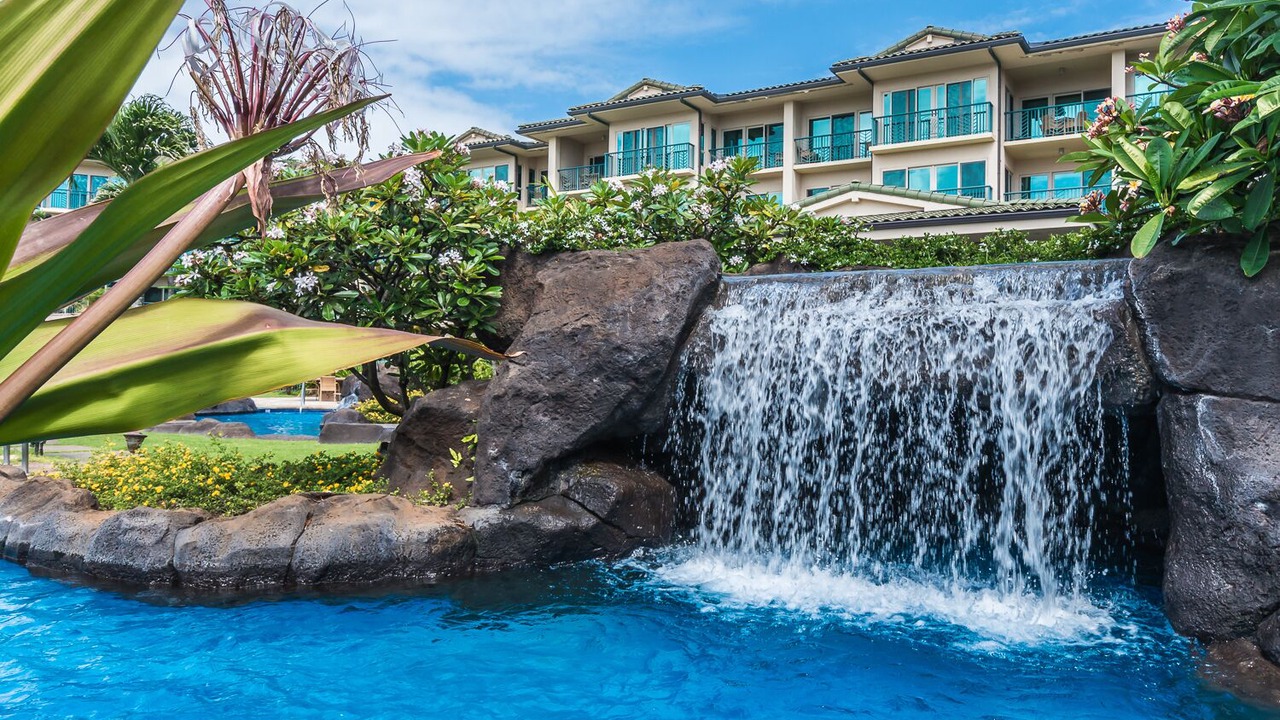Photo of Others in Wailua