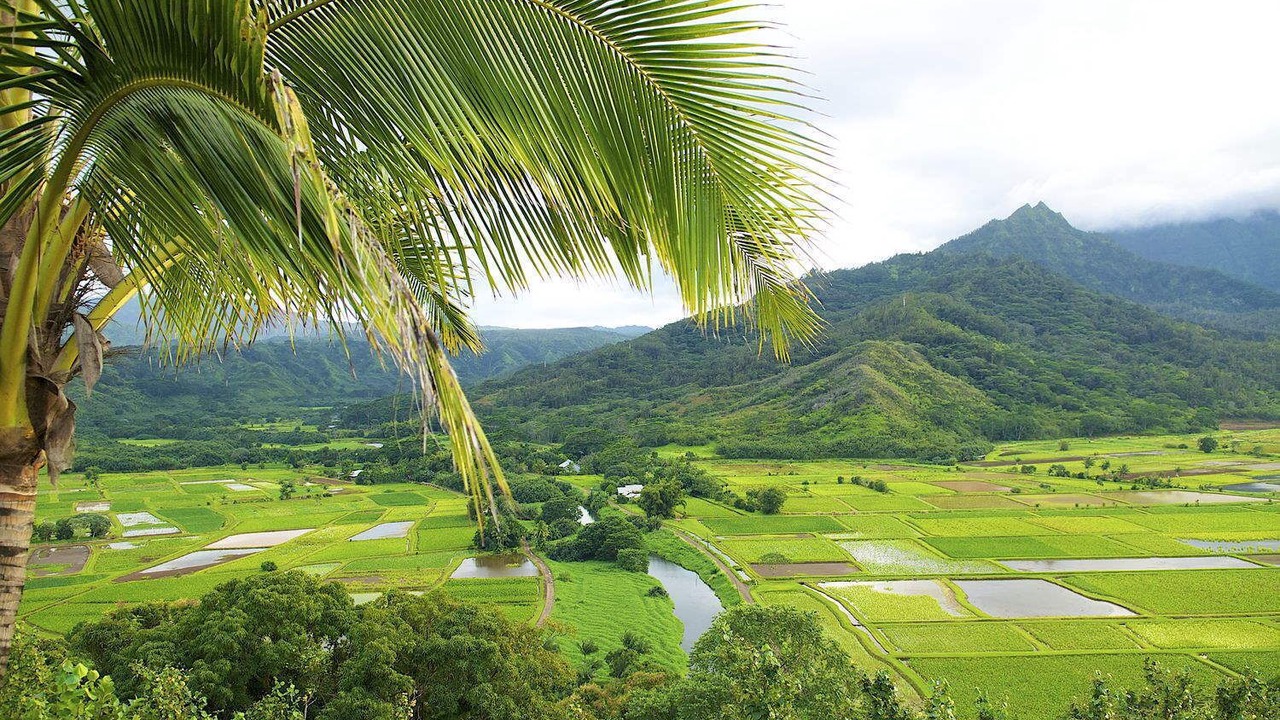 Photo of Others in Wailua