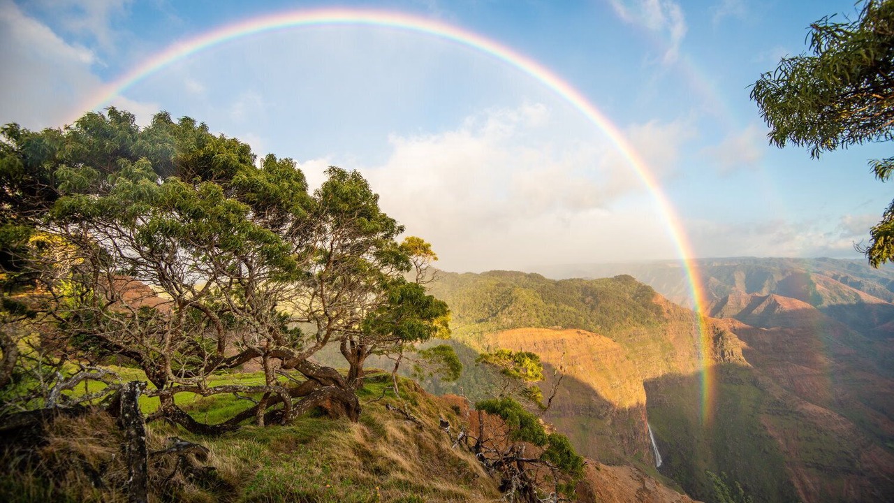 Photo of Others in Wailua
