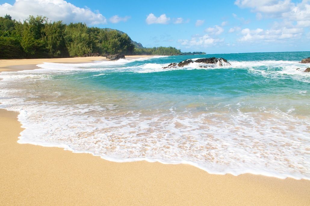 Photo of Others in Wailua