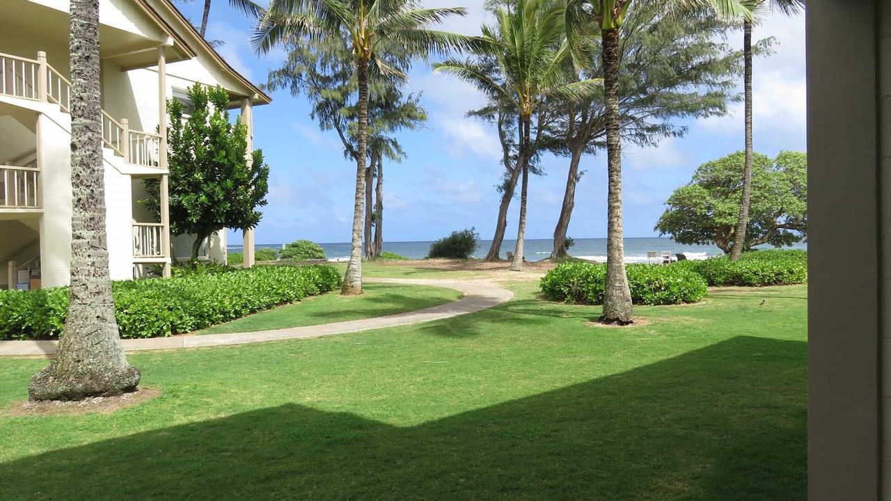 Photo of Outdoor in Wailua