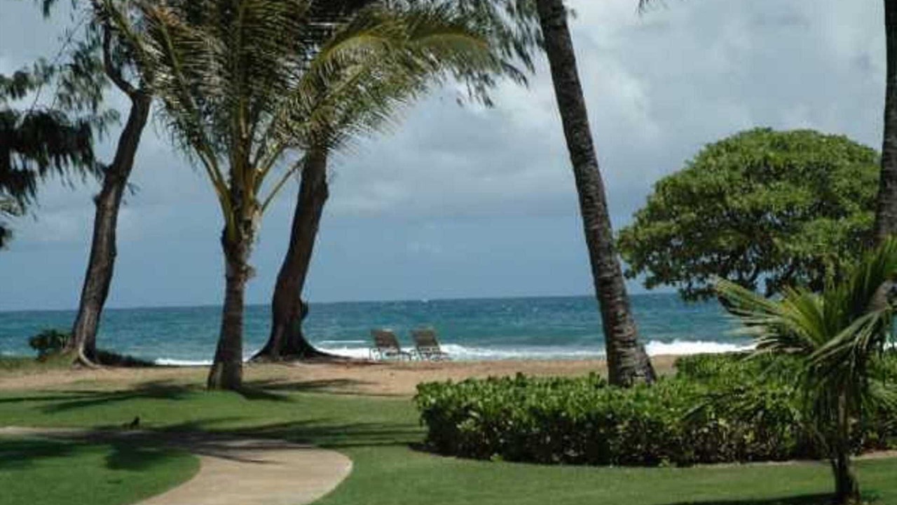 Photo of Outdoor in Wailua