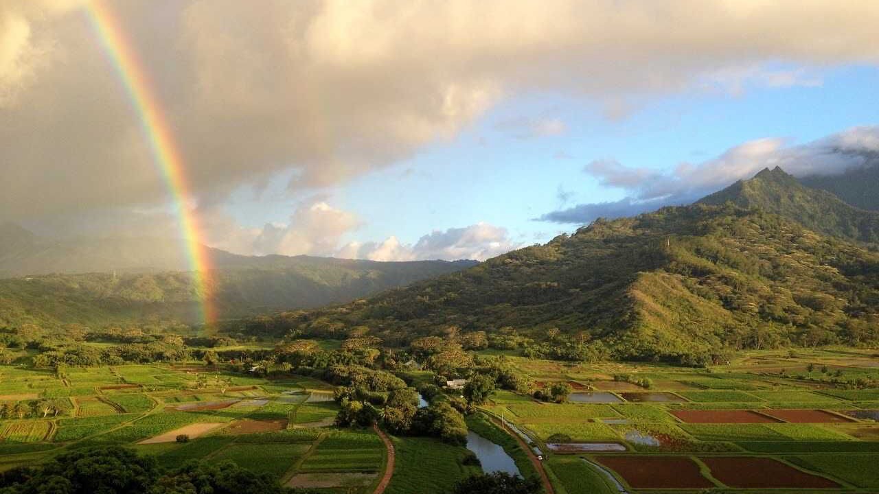 Photo of Others in Wailua