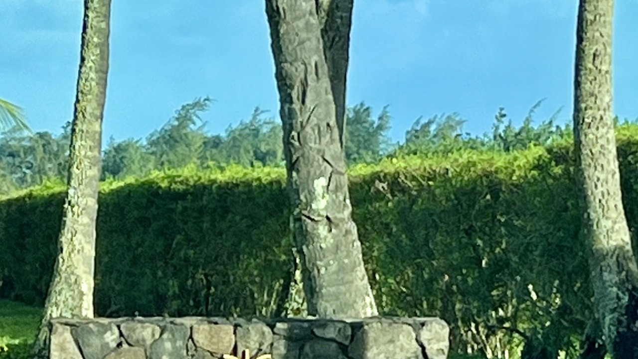 Photo of Outdoor in Hanamaulu