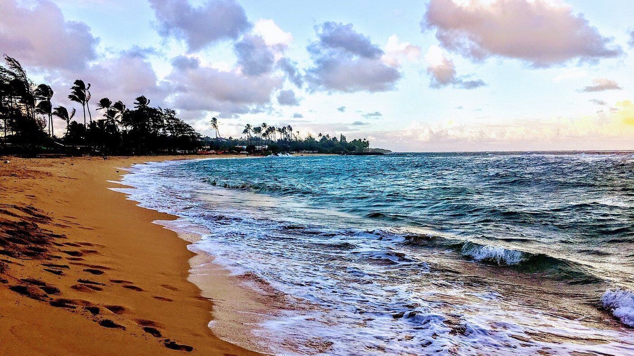 Photo of Others in Kapaa
