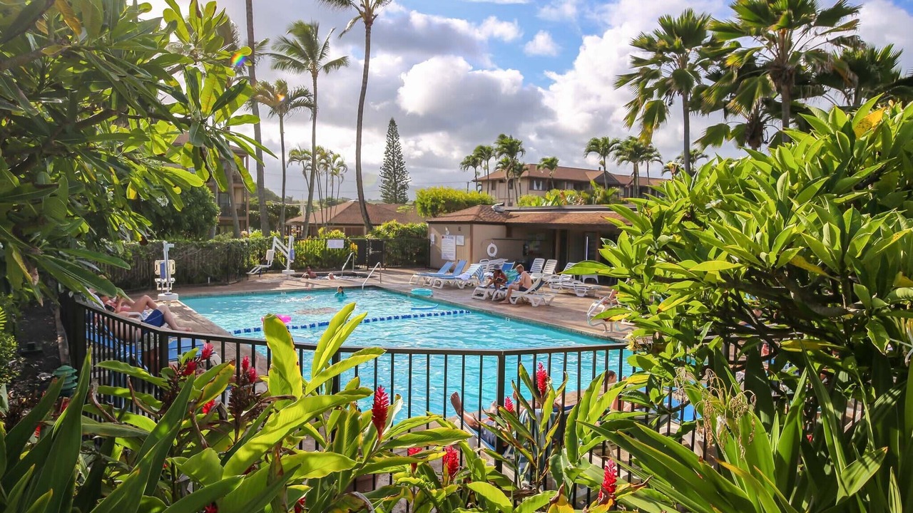 Photo of Outdoor in Kapaa