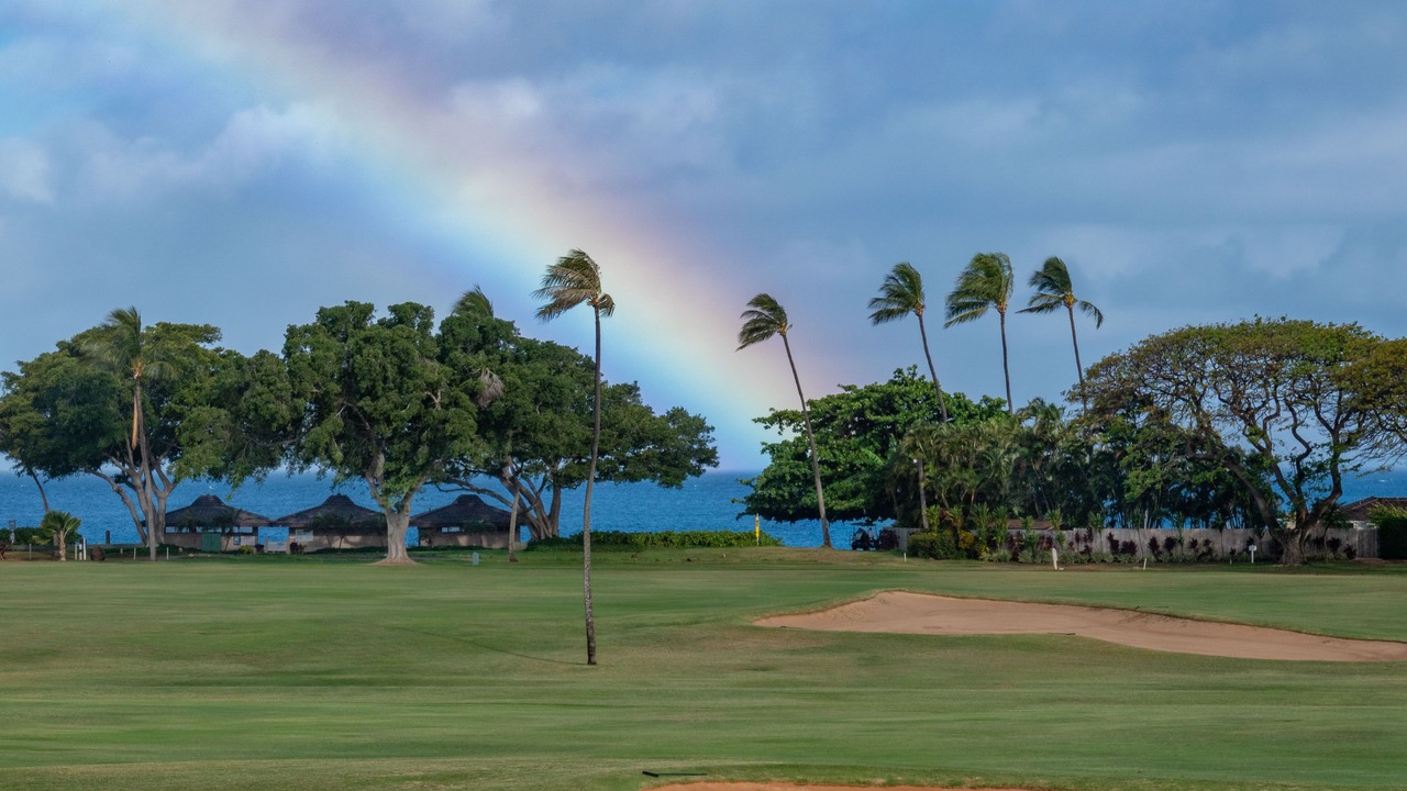 Photo of Others in Kaanapali