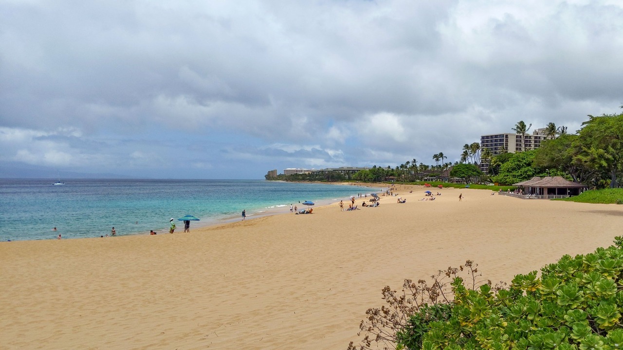 Photo of Others in Kaanapali