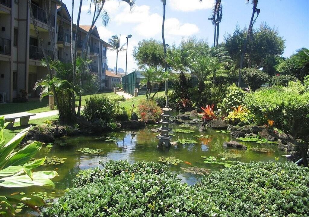 Photo of Outdoor in Kapaa