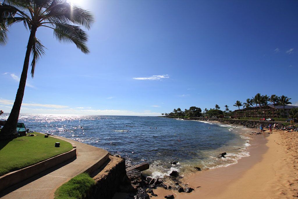 Photo of Others in Poipu