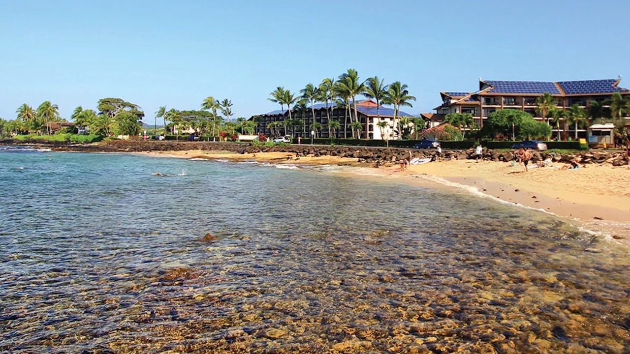 Photo of Others in Poipu