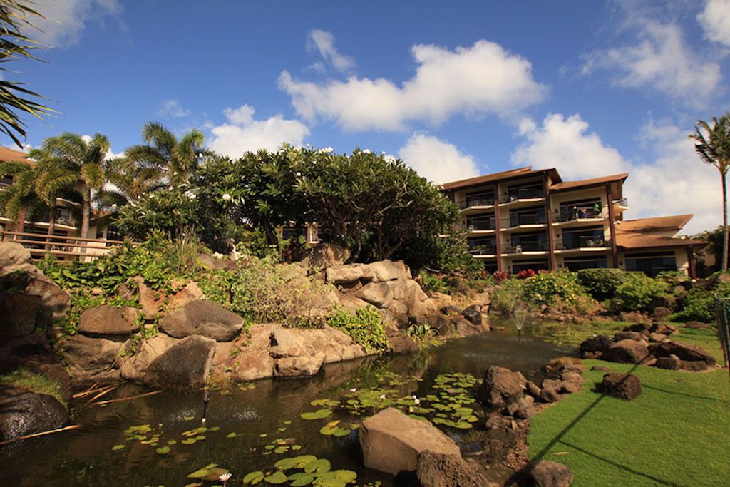 Photo of Outdoor in Poipu
