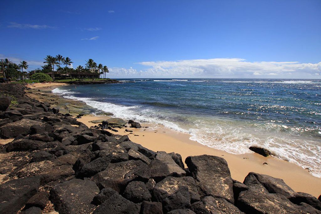 Photo of Others in Poipu