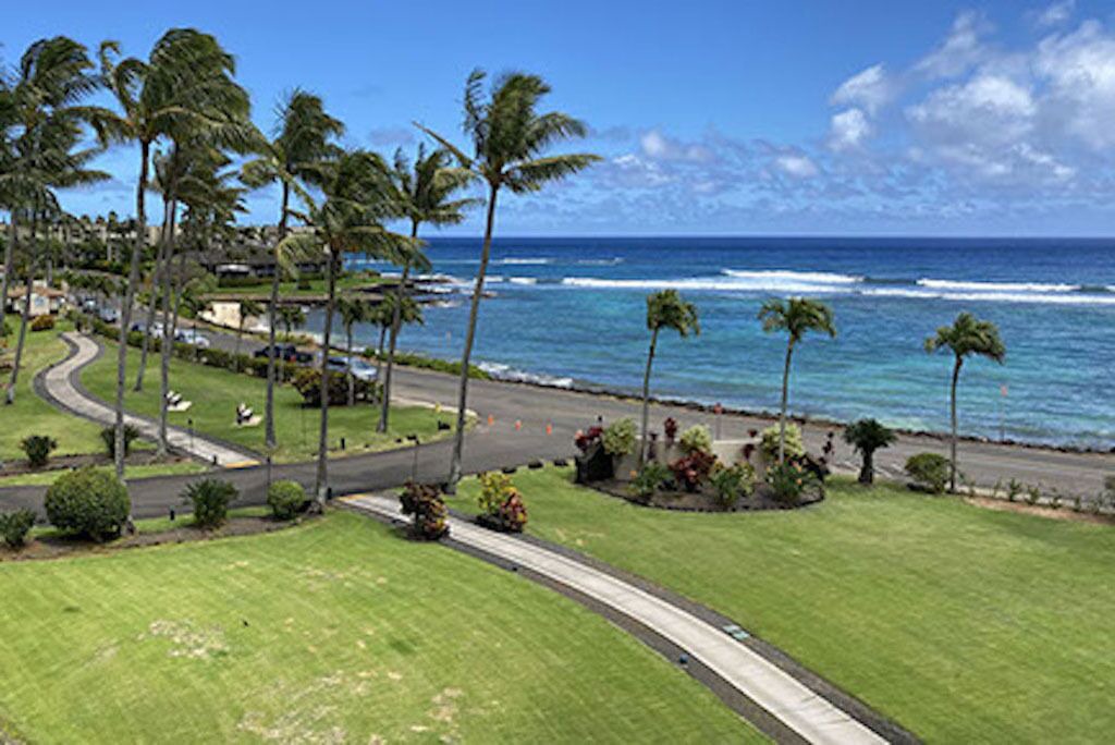 Photo of Outdoor in Poipu