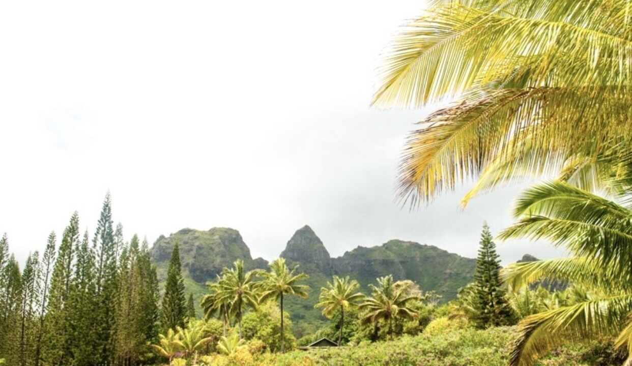 Photo of Outdoor in Anahola