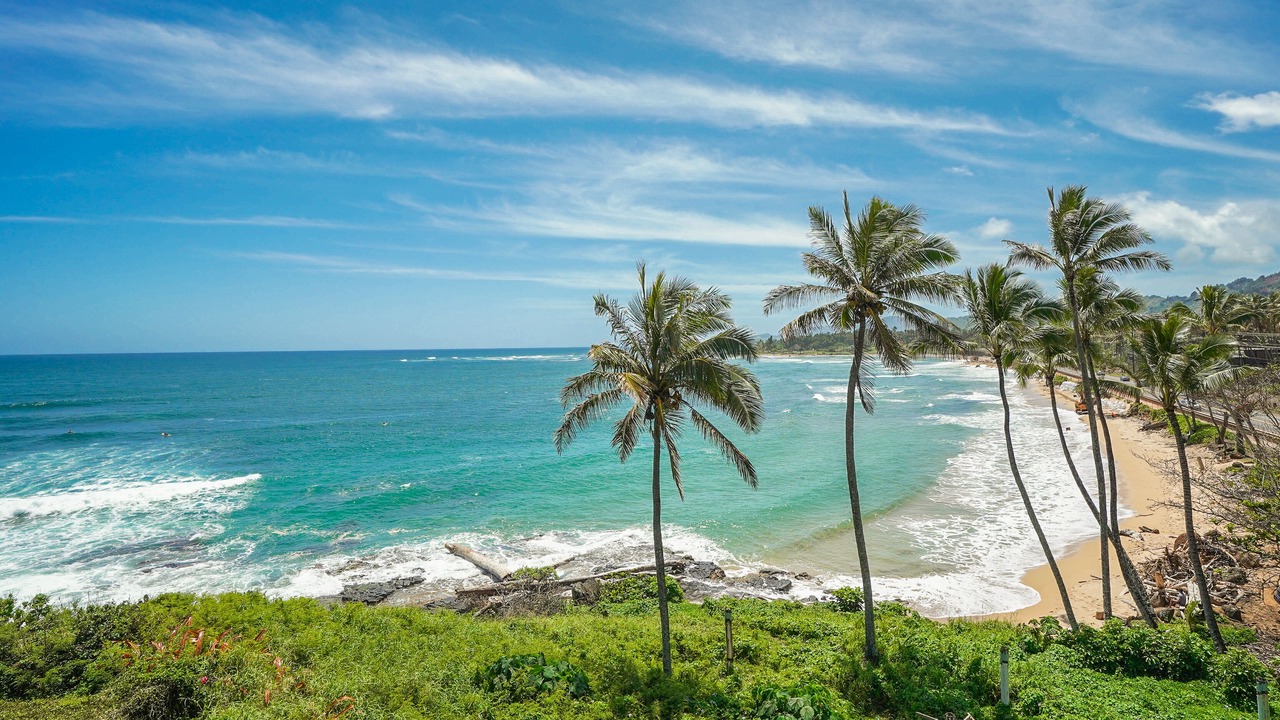 Photo of Others in Wailua