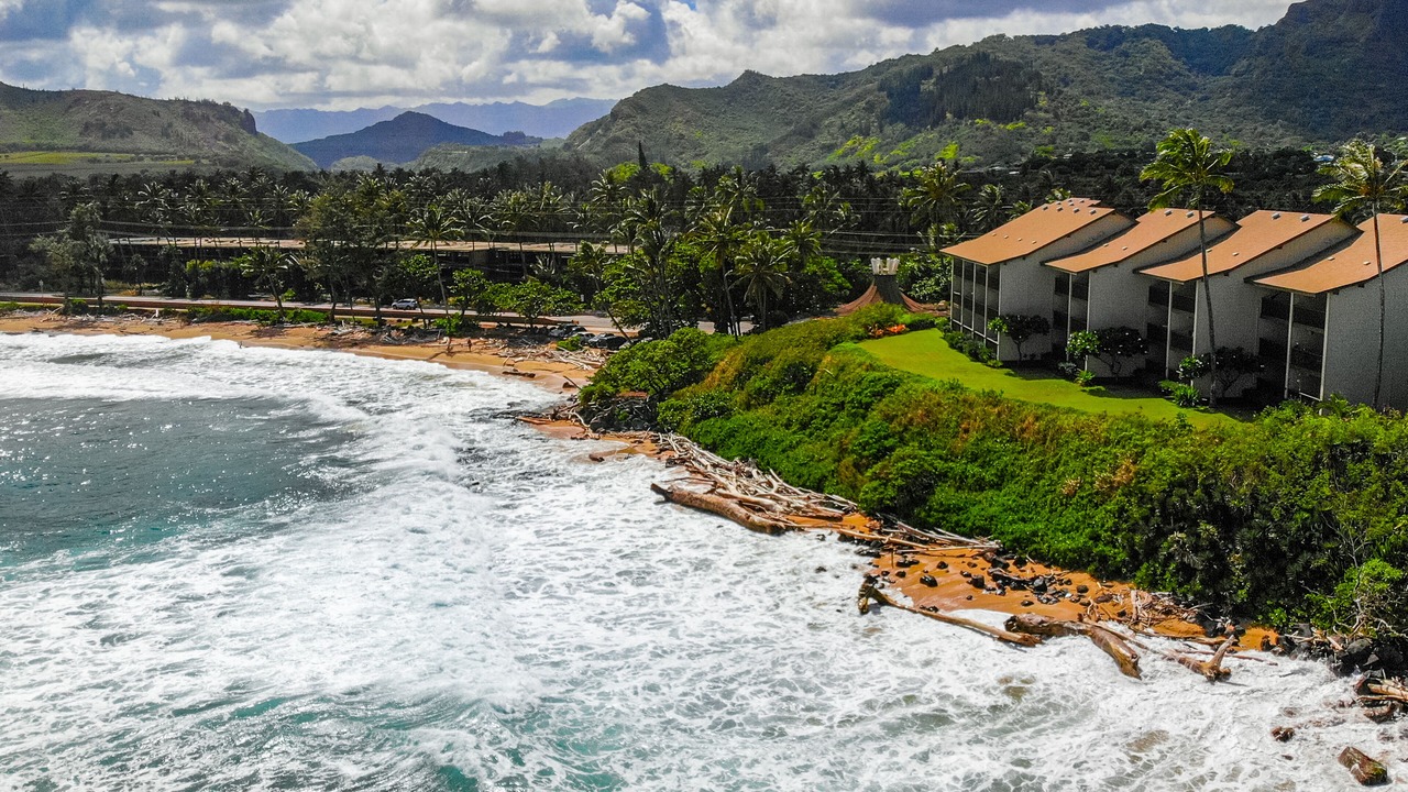 Photo of Others in Wailua House Lots