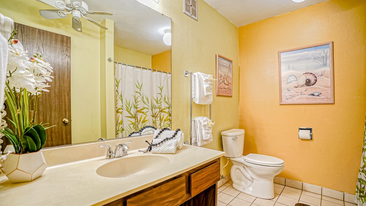 Photo of Bathroom in Kapaa