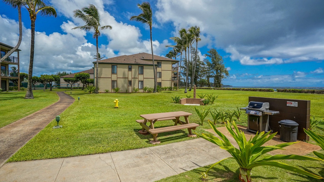 Photo of Outdoor in Kapaa