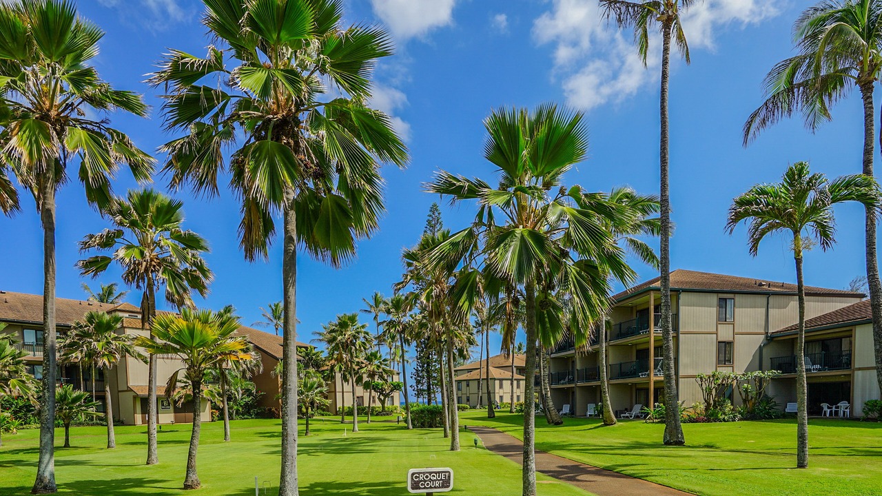 Photo of Outdoor in Kapaa