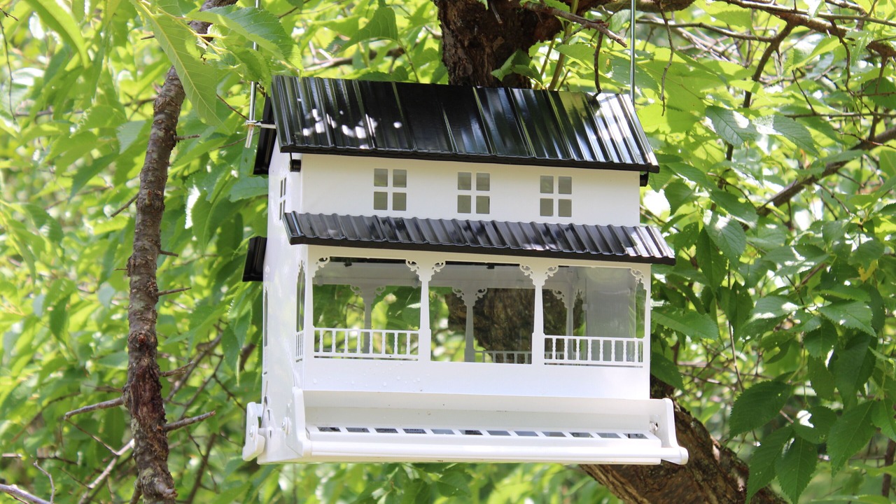 Photo of Outdoor in Branchport