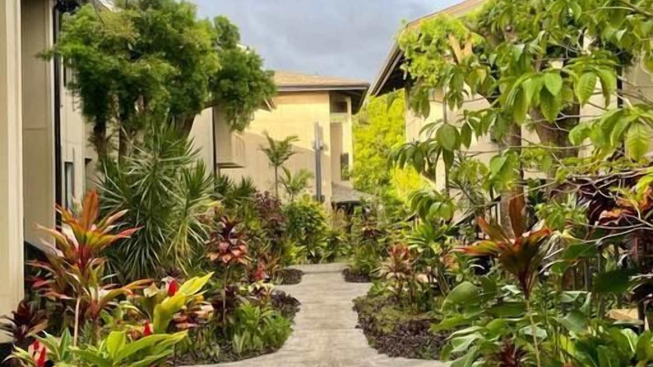 Photo of Outdoor in Princeville