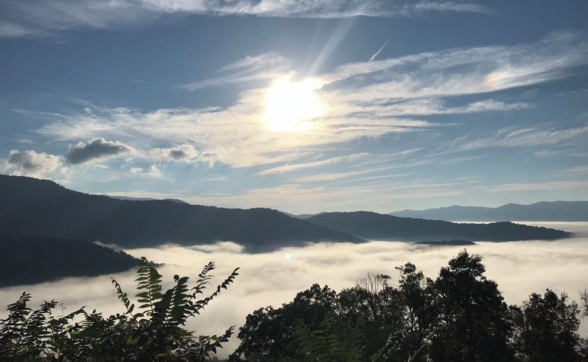Photo of Others in Asheville