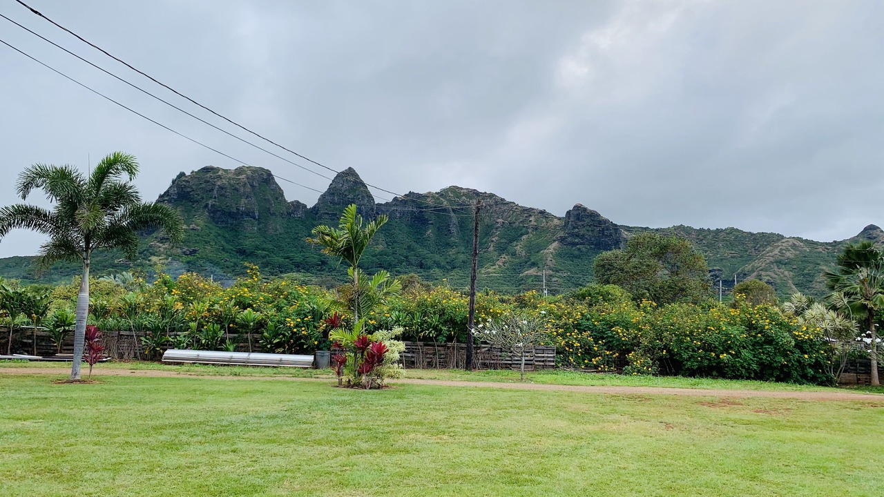 Photo of Others in Anahola