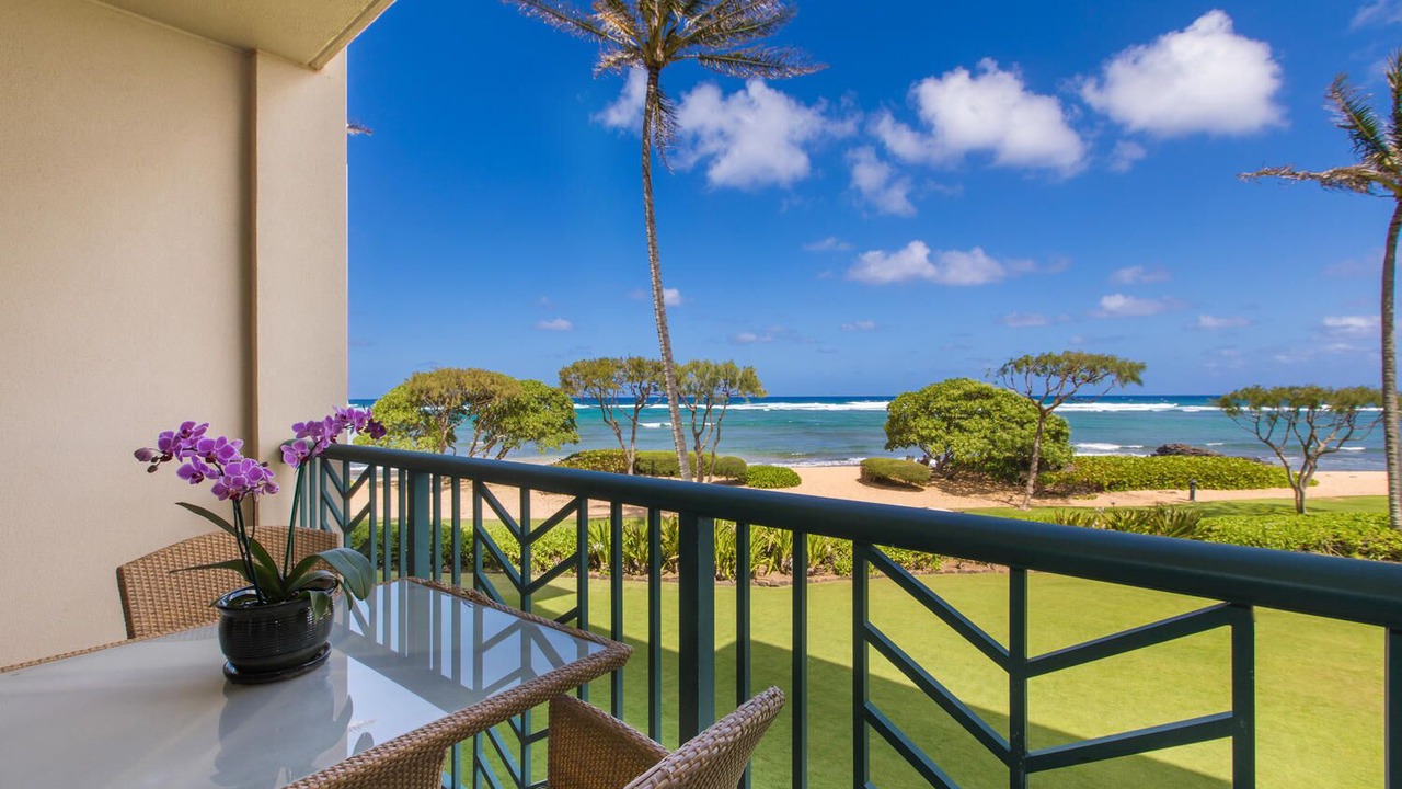 Photo of Outdoor in Kapaa