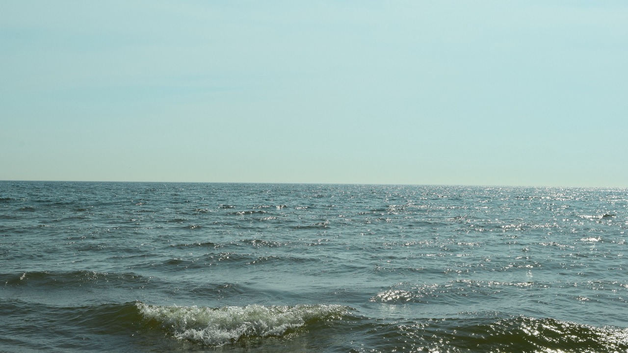 Photo of Others in Holland