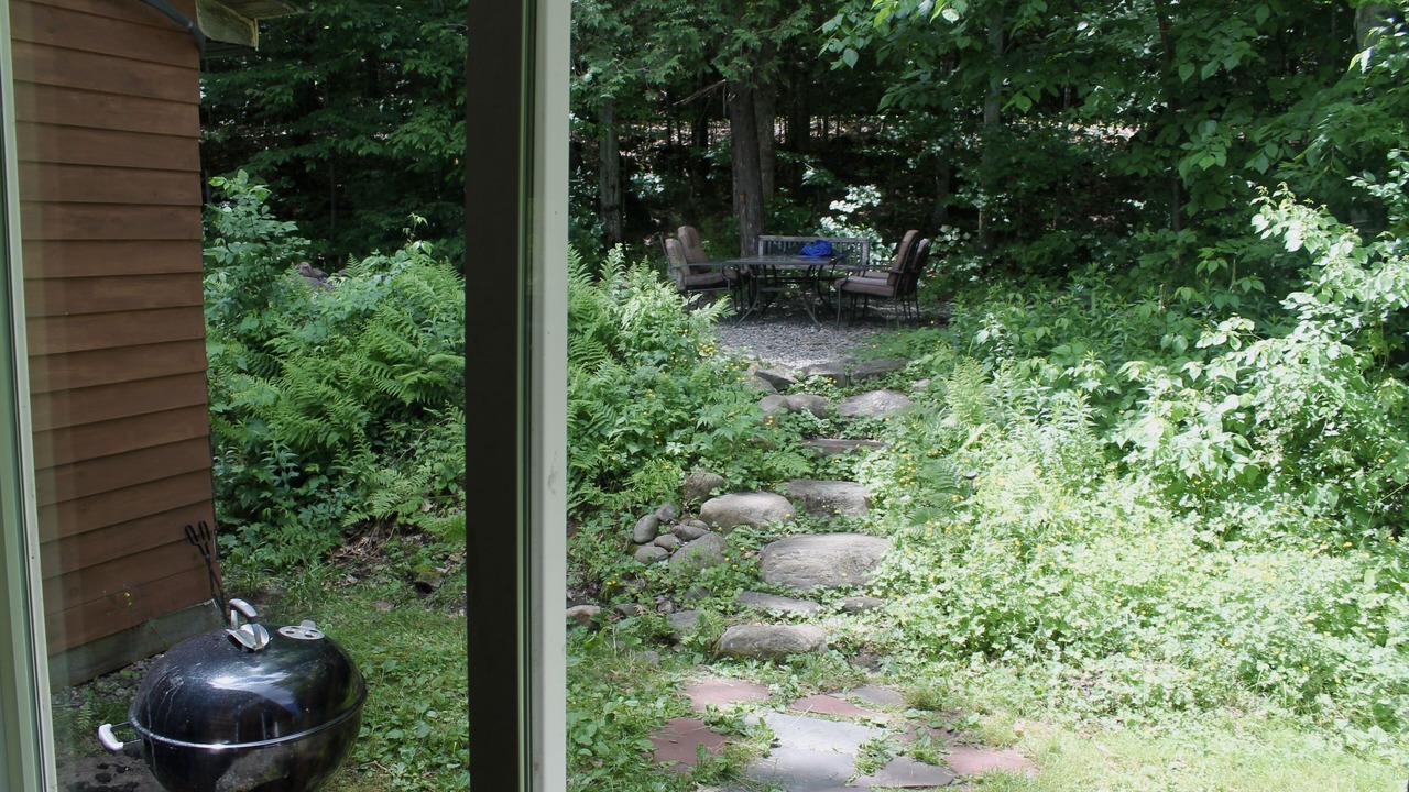 Photo of Outdoor in North Creek