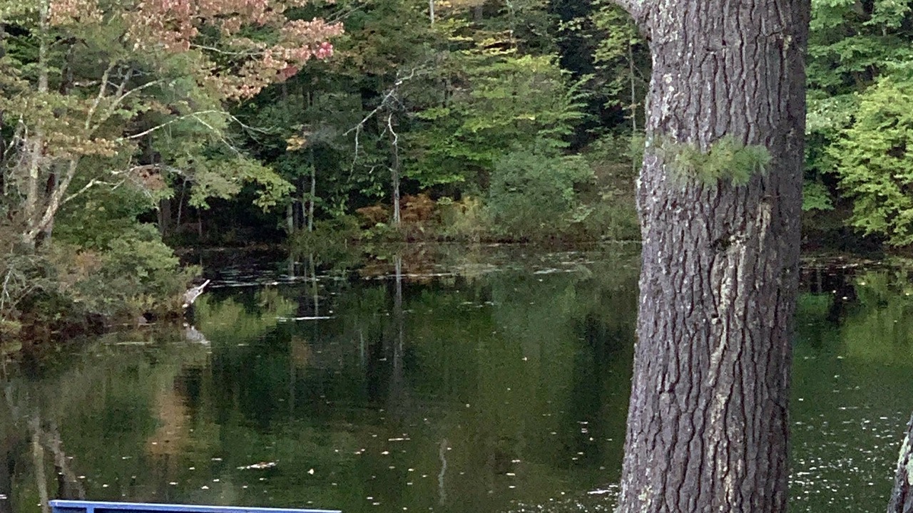 Photo of Others in Chestertown