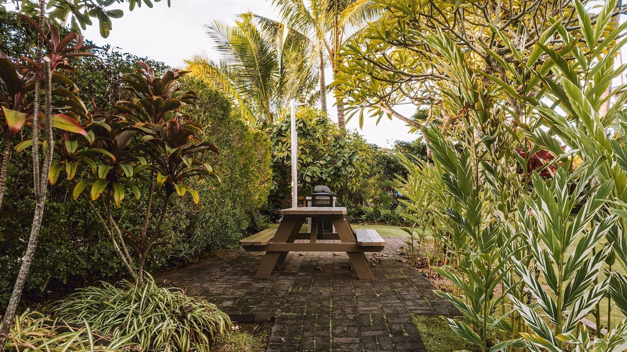 Photo of Others in Wailua