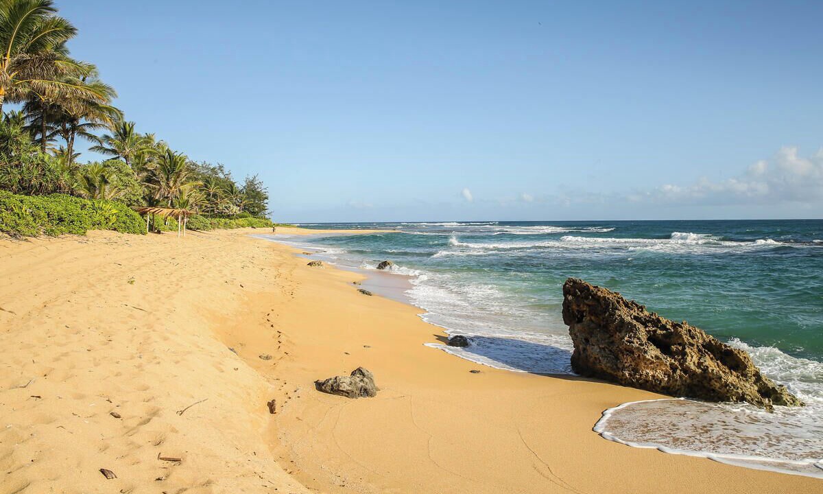 Photo of Others in Wainiha