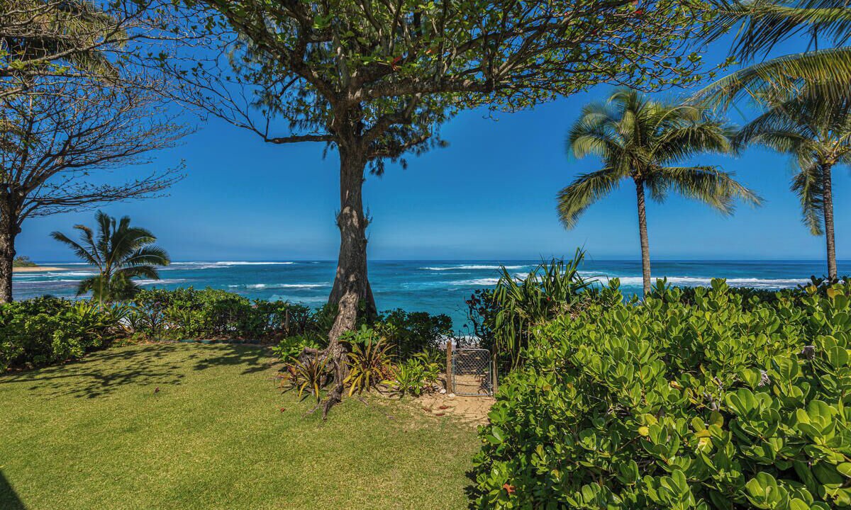 Photo of Others in Wainiha