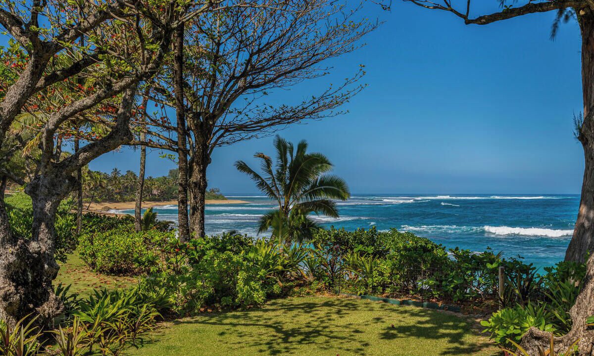 Photo of Others in Wainiha