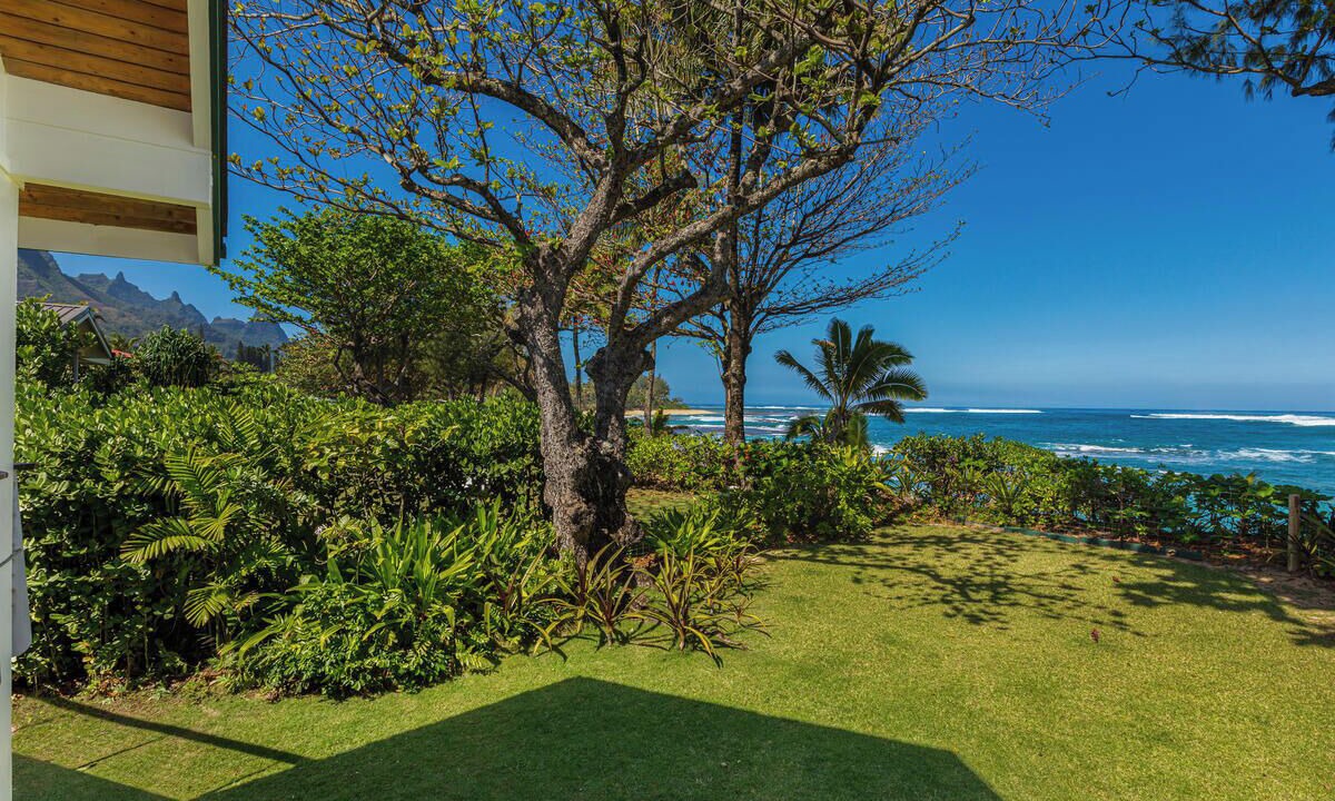 Photo of Others in Wainiha