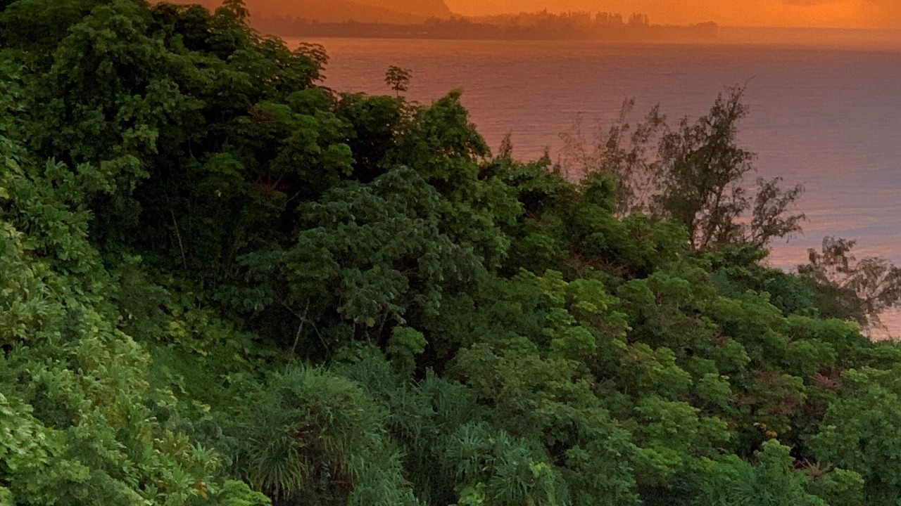 Photo of Others in Princeville