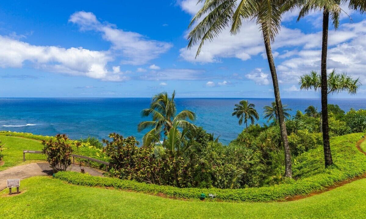 Photo of Others in Princeville