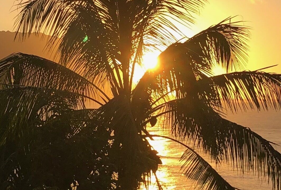 Photo of Outdoor in Princeville