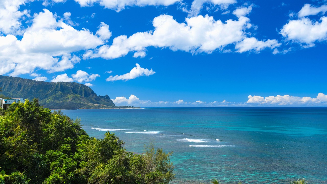Photo of Others in Princeville