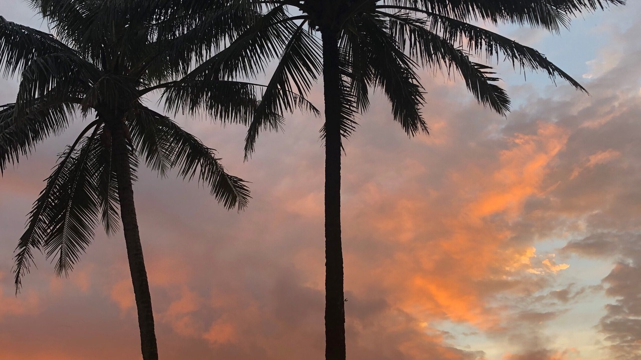 Photo of Others in Princeville