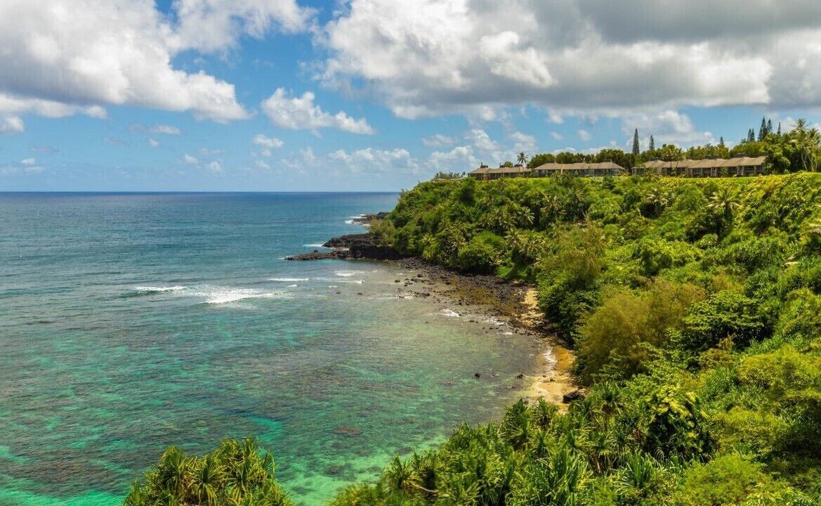 Photo of Others in Princeville