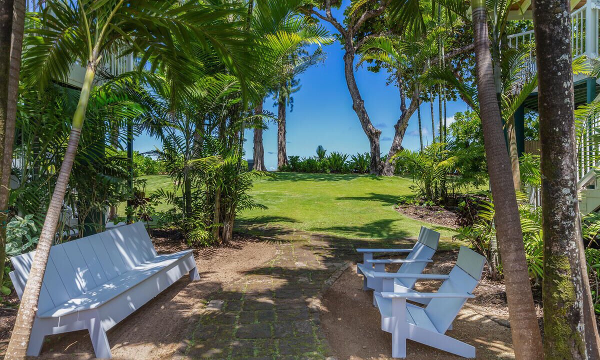 Photo of Outdoor in Wainiha
